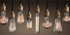 Bulbs - Decorative
