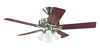 Ceiling Fans