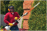 Hedge Trimmers