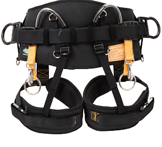 Cougar Web Bridge Leg 1085 Md