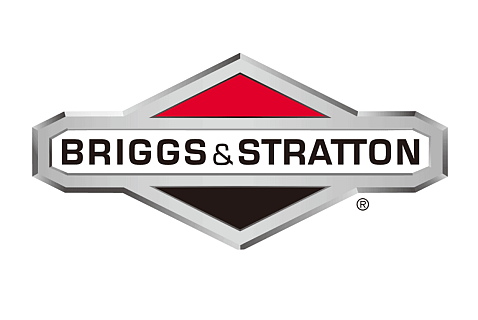 Briggs &amp; Stratton Parts