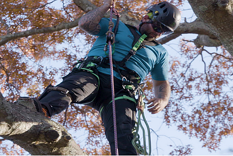 Climber, Saddles, Belts