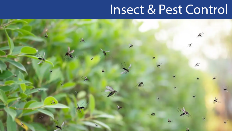 Insect & Pest Control