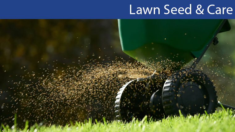 Lawn Seed & Care