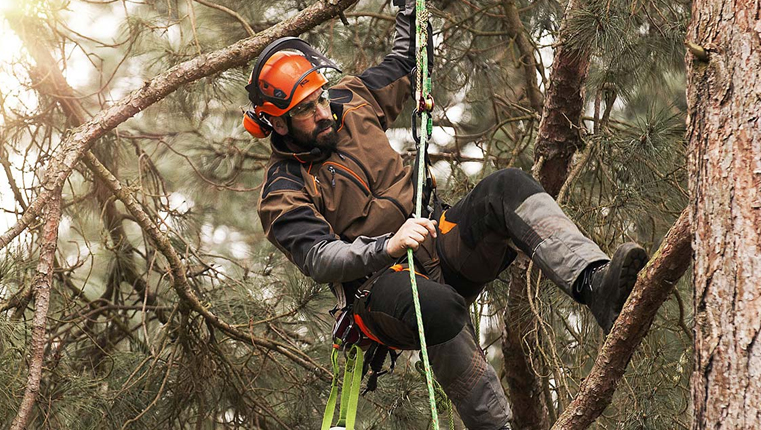 Arborist Gear