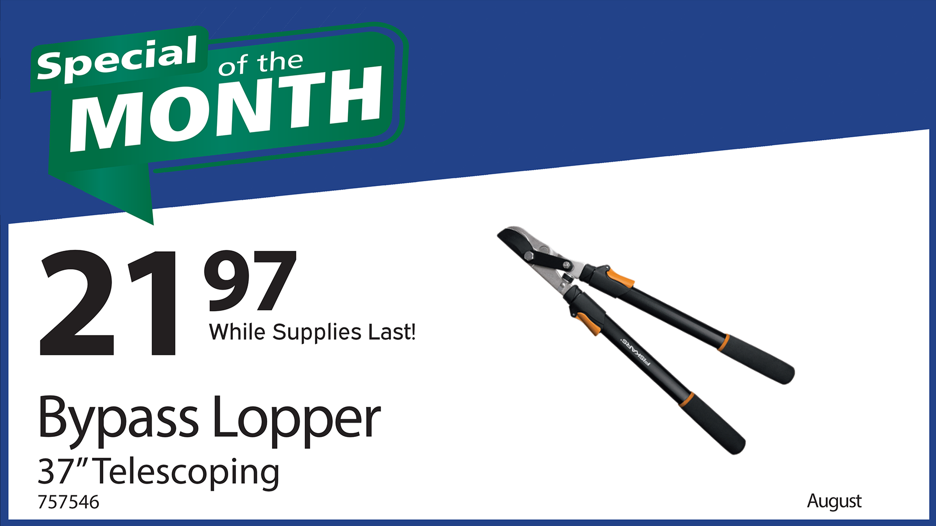 Special of the Month - August