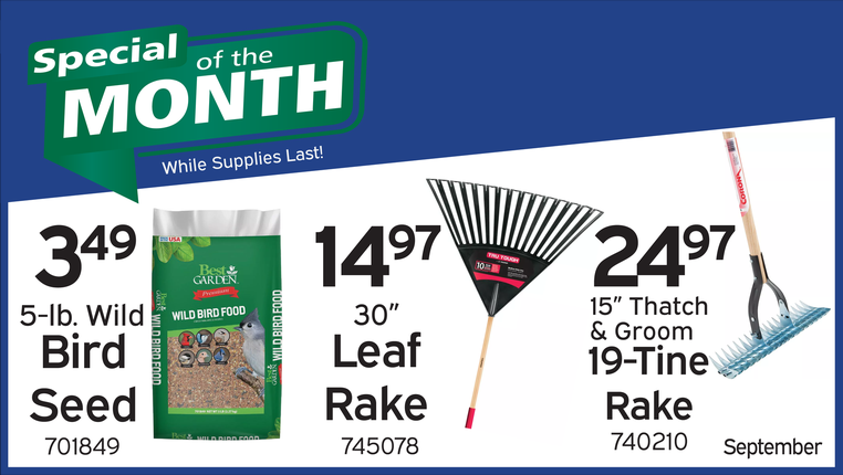 Special of the Month - September