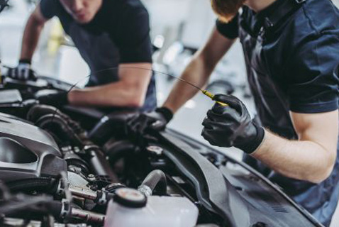 Auto Maintenance &amp; Fluids