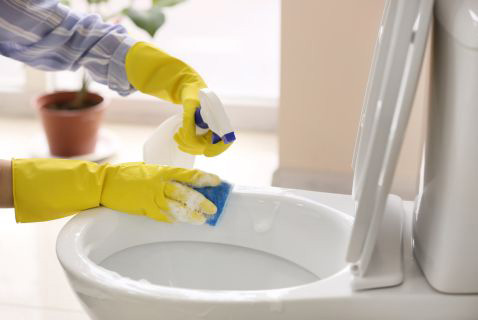 Bathroom &amp; Drain Cleaners