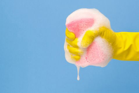 Sponges &amp; Scrub Brushes (hand)