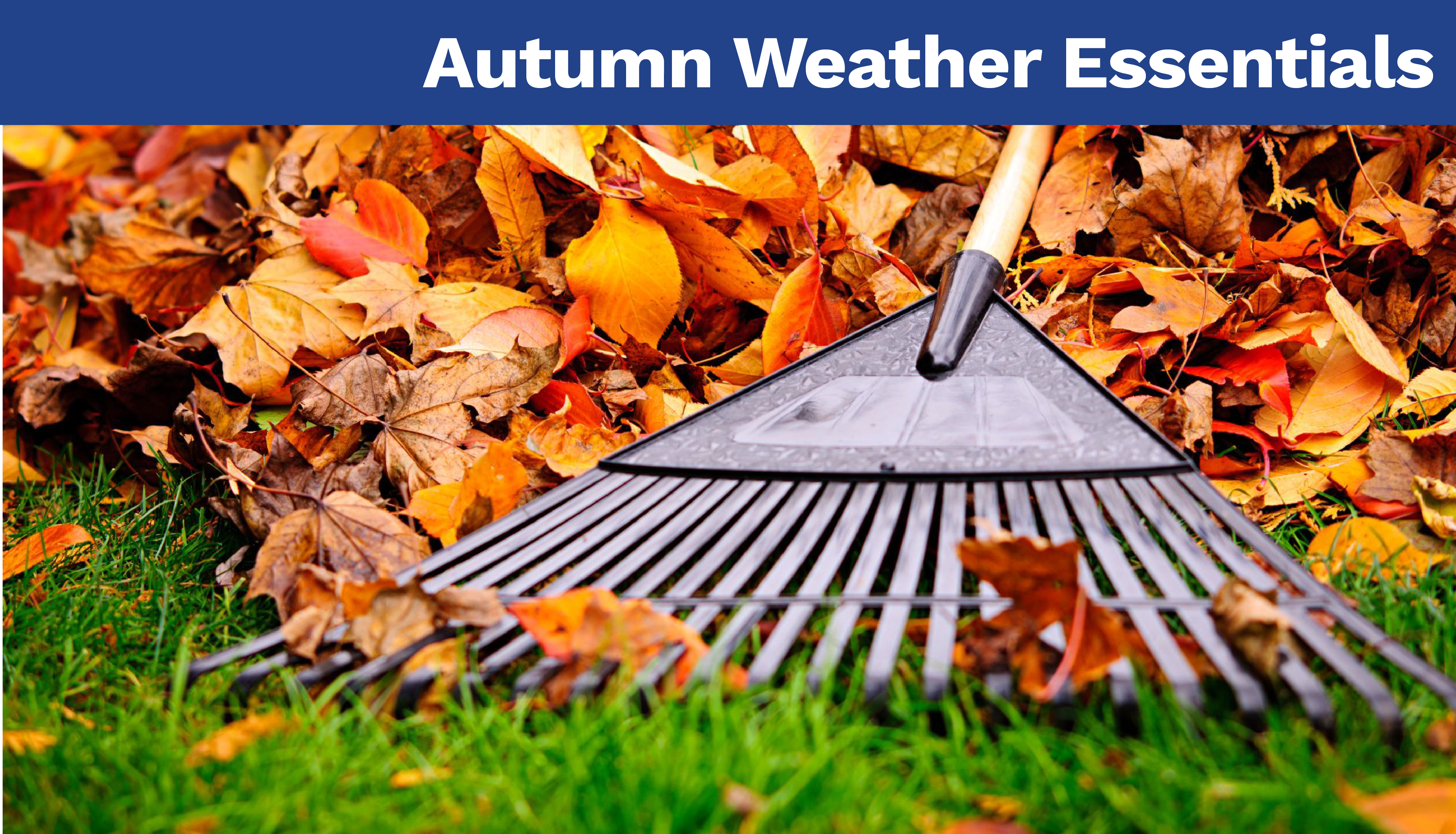 Autumn Weather Essentials