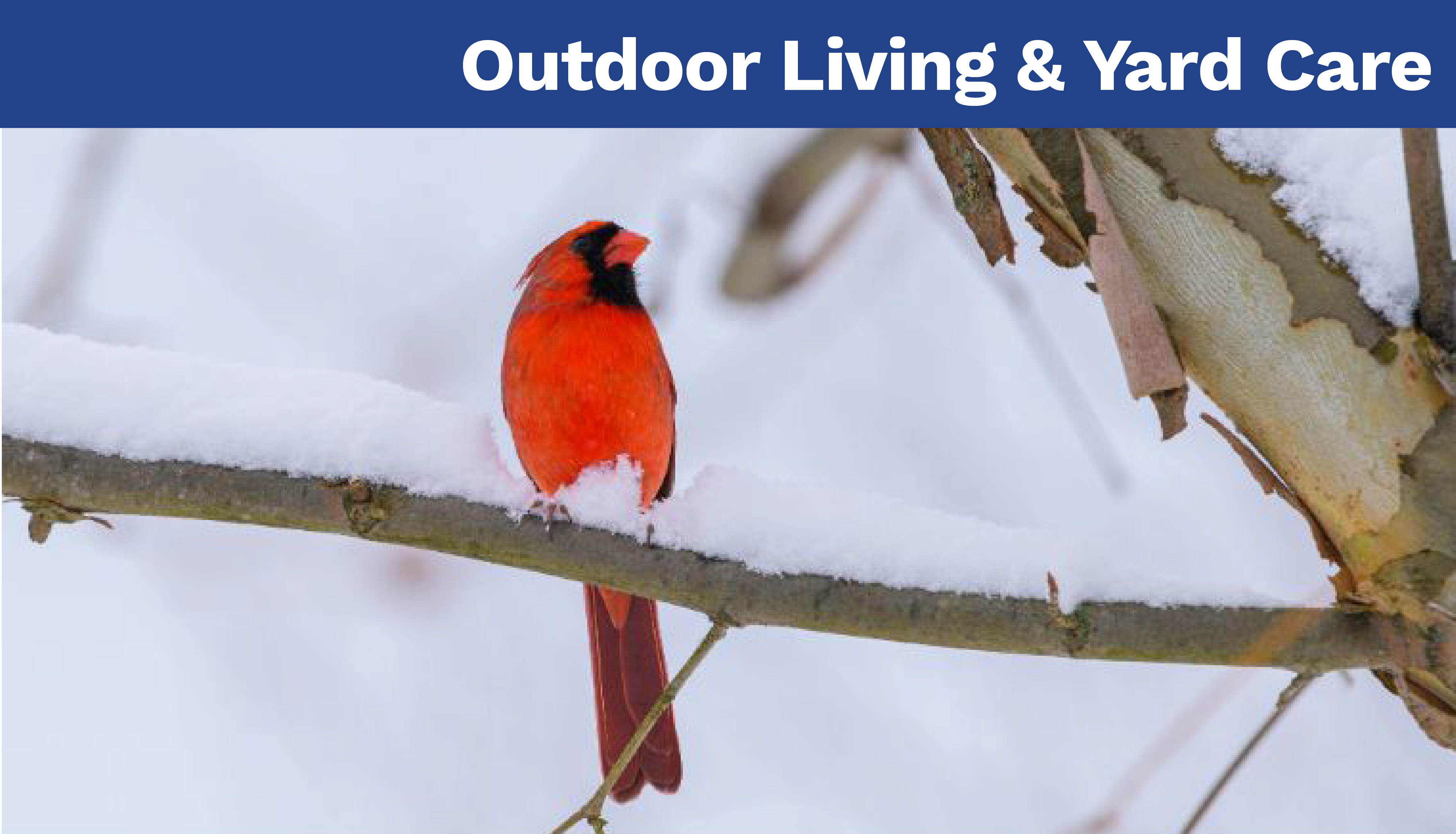 Outdoor Living & Yard Care