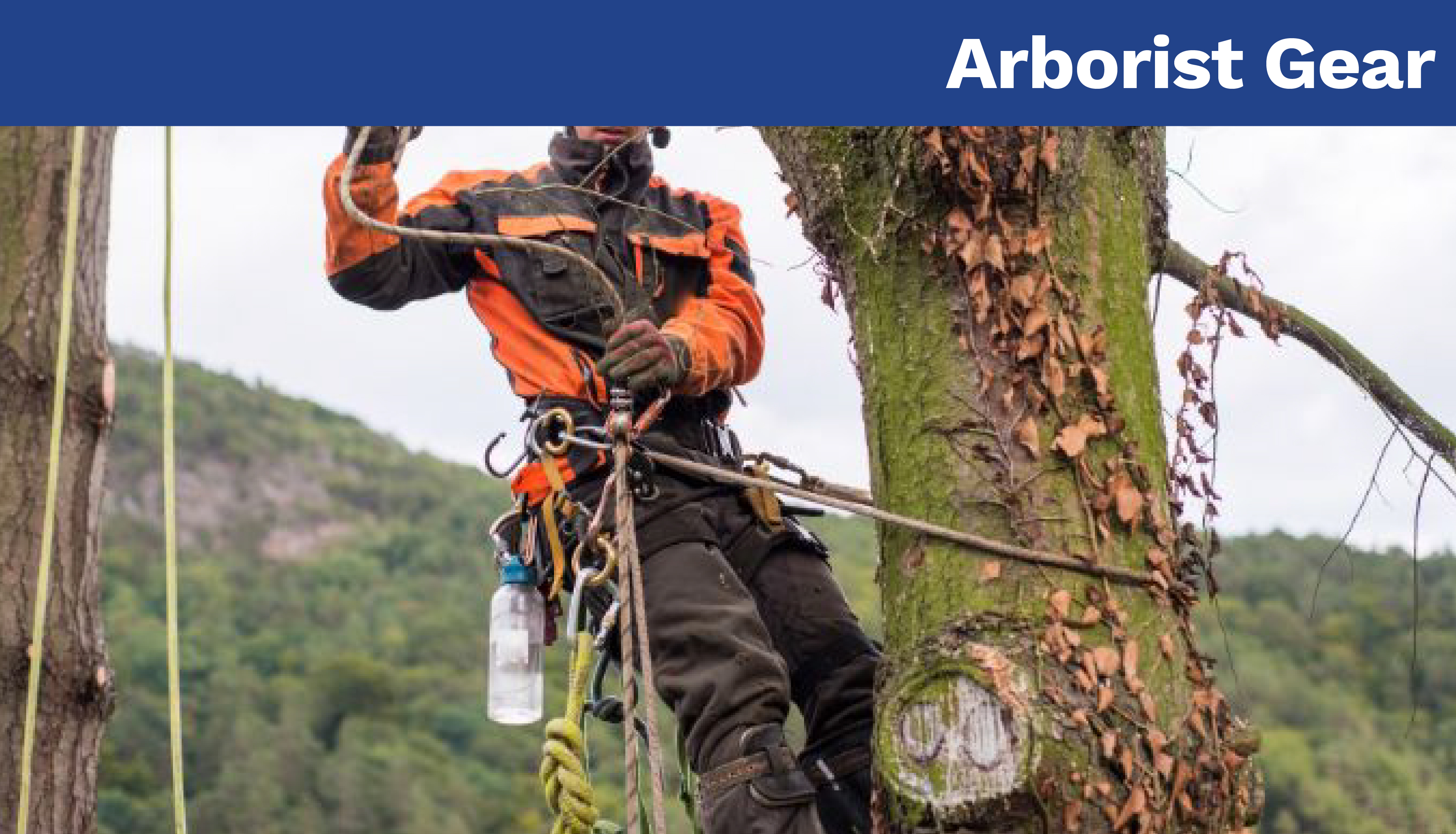 Arborist Gear