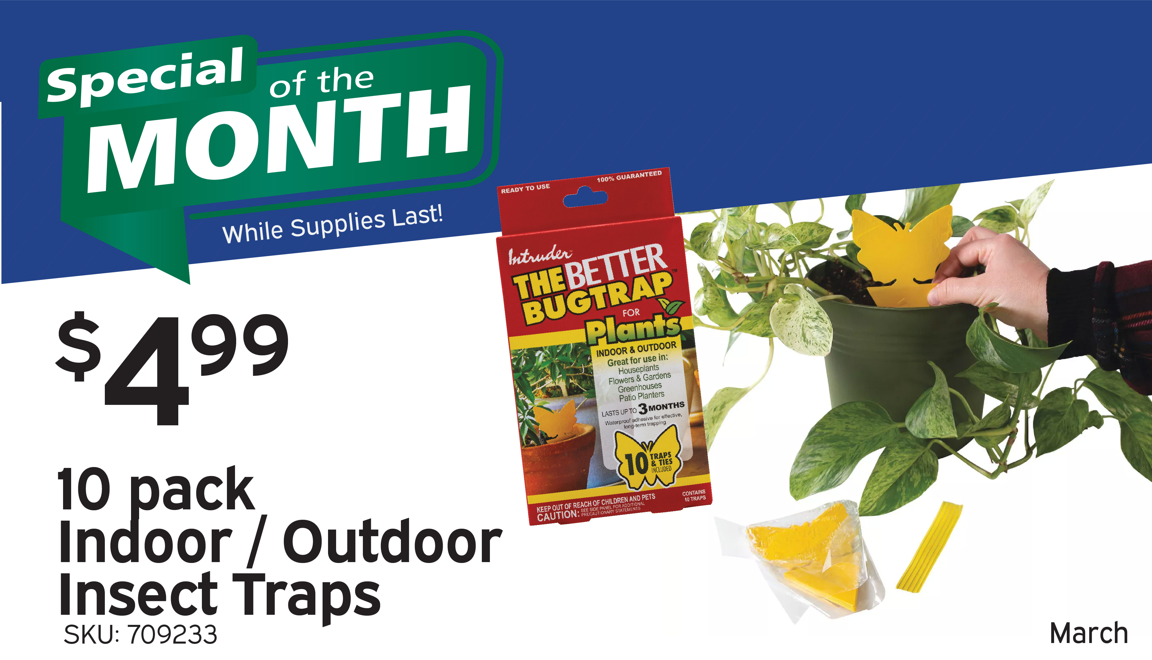 Special of the Month - March