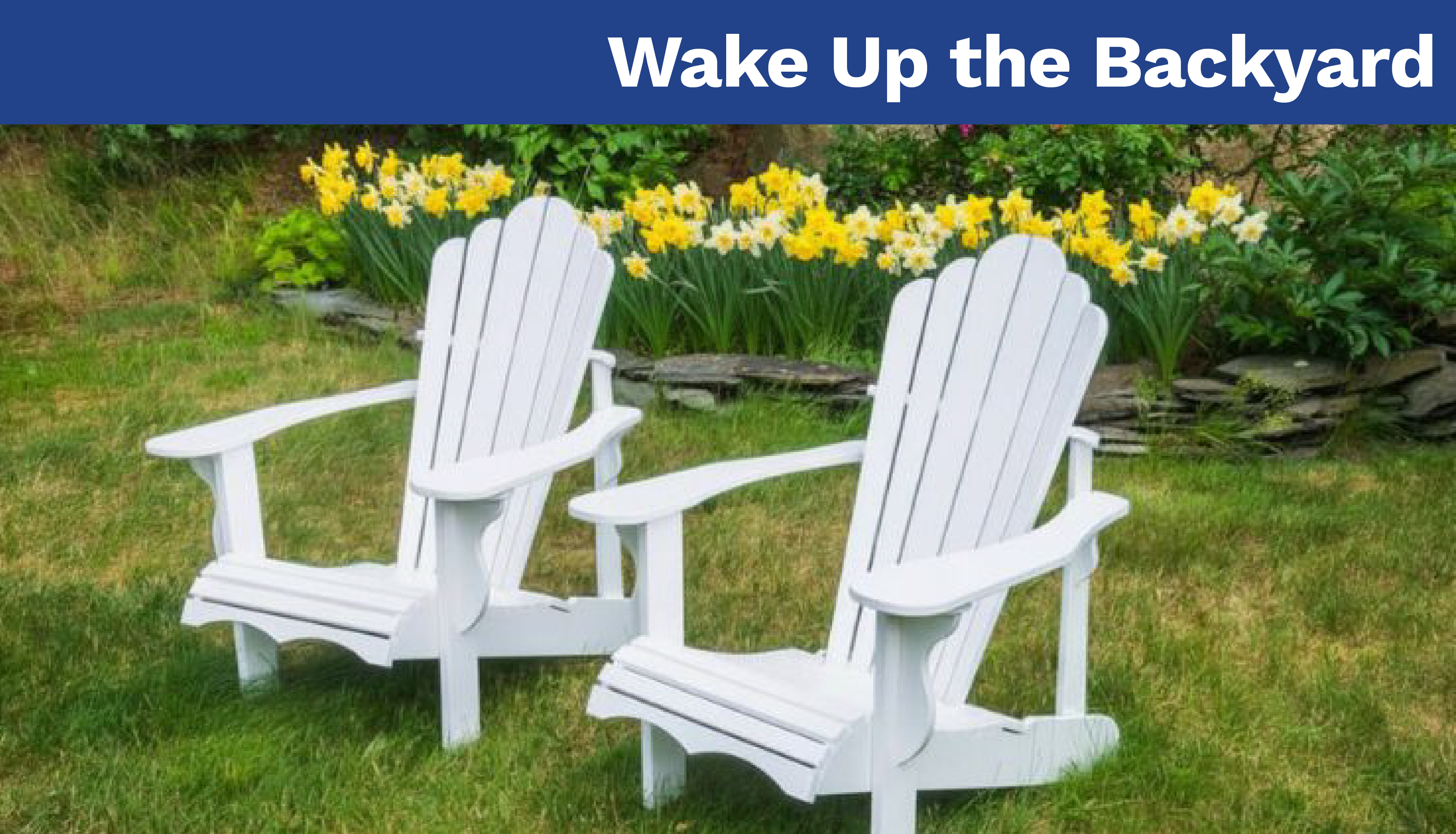 Wake Up the Backyard