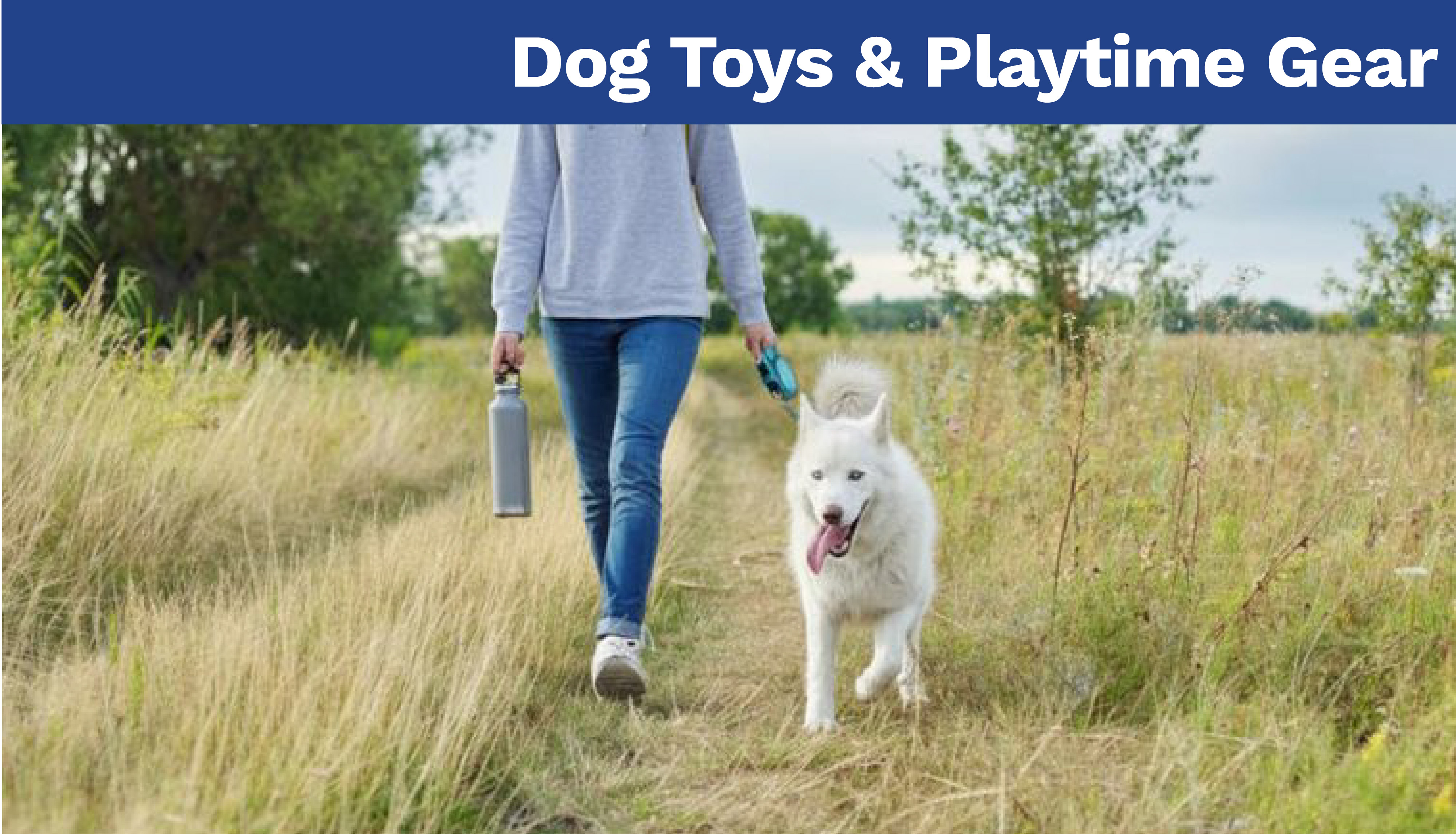 Dog Toys & Playtime Gear
