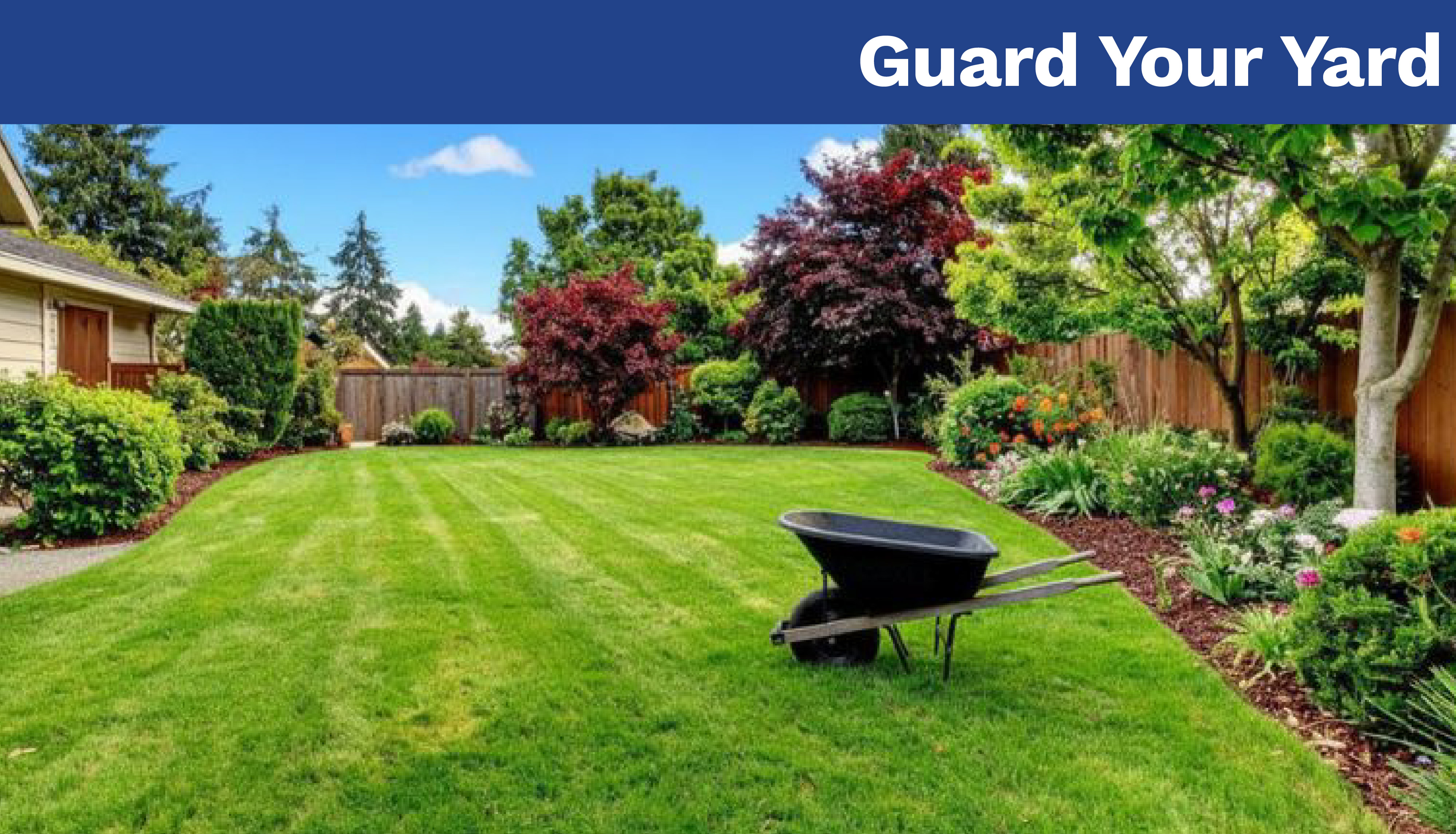 Guard Your Yard