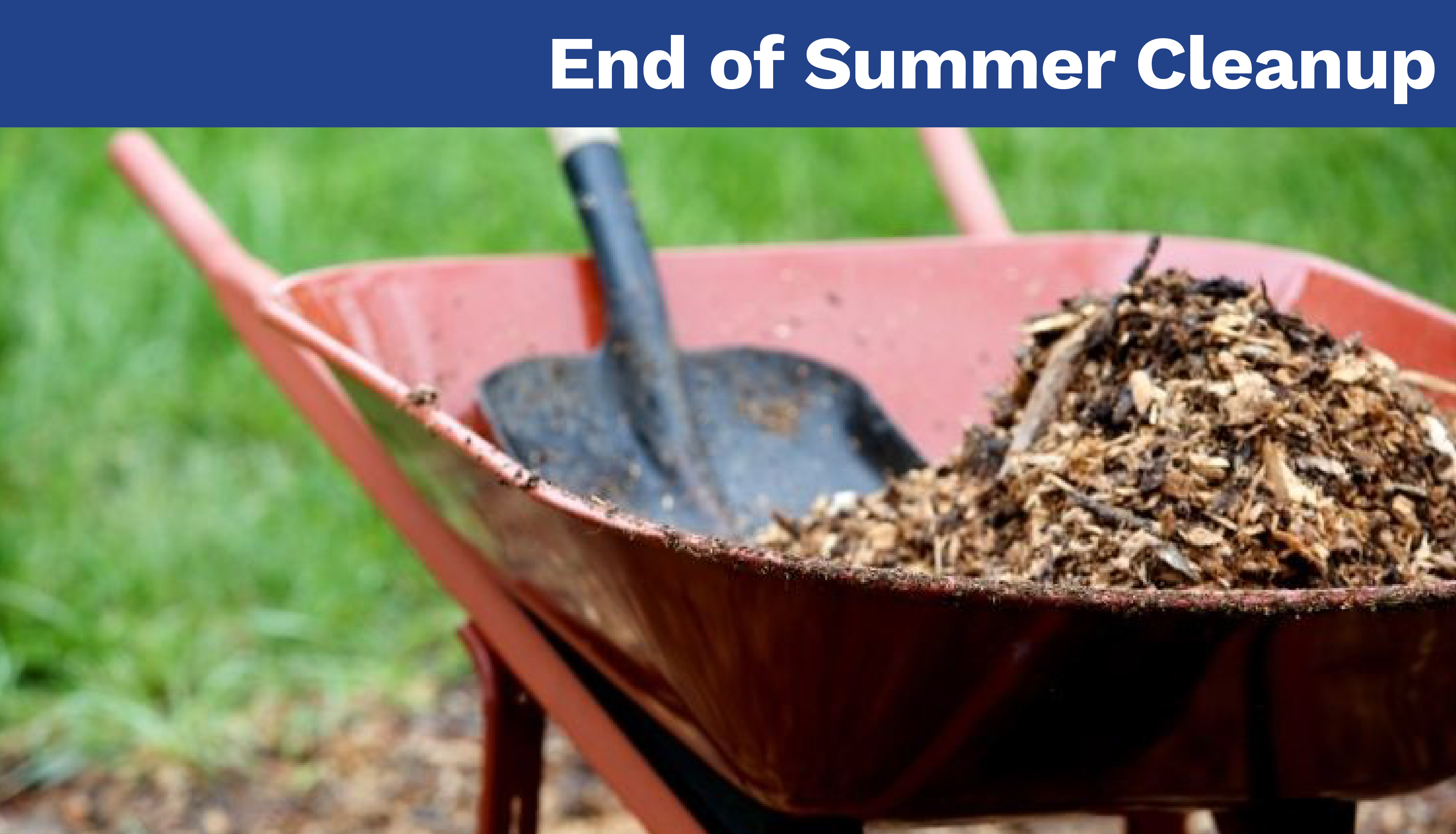 End of Summer Cleanup