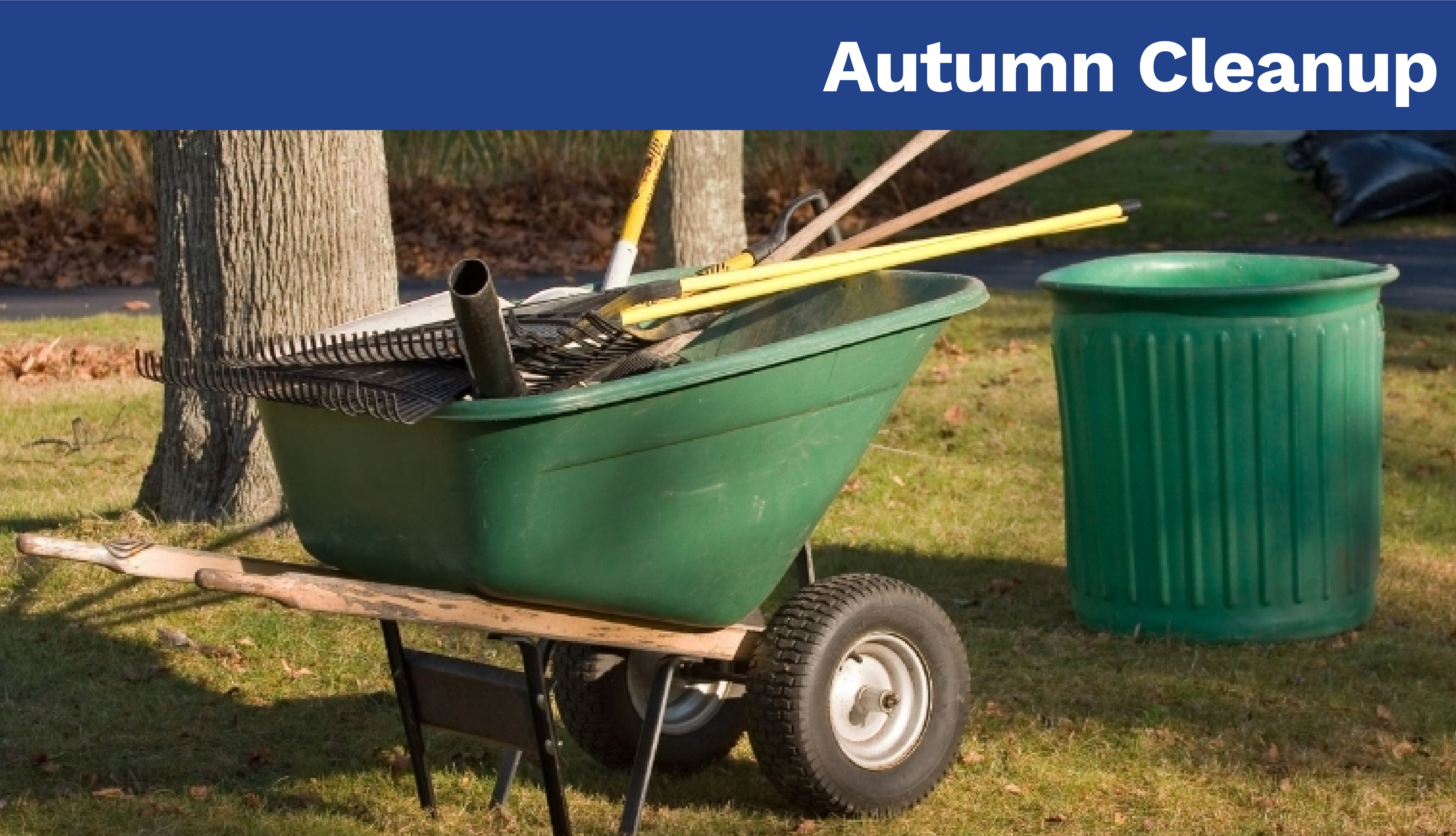 Autumn Cleanup