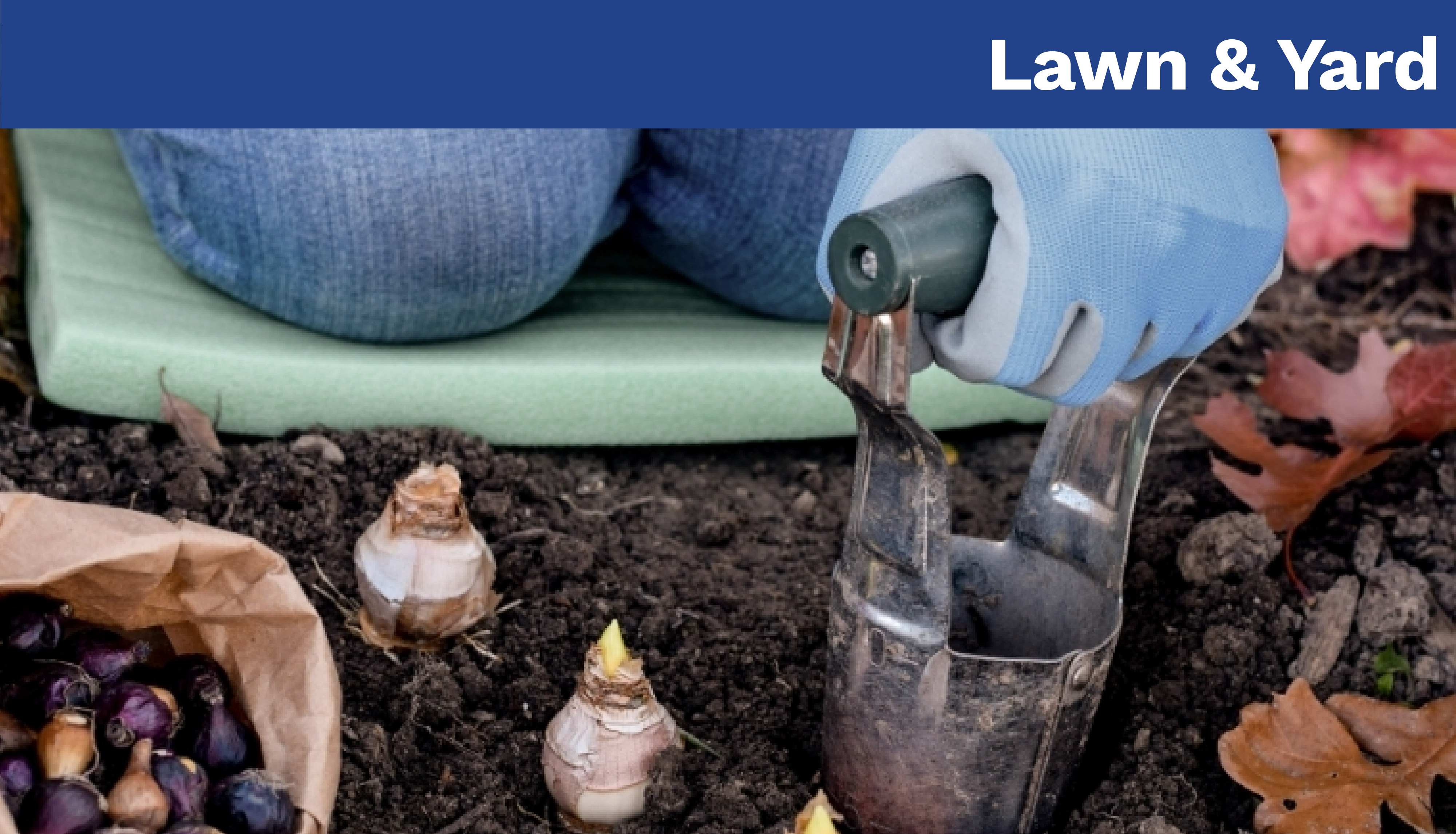 Lawn & Yard
