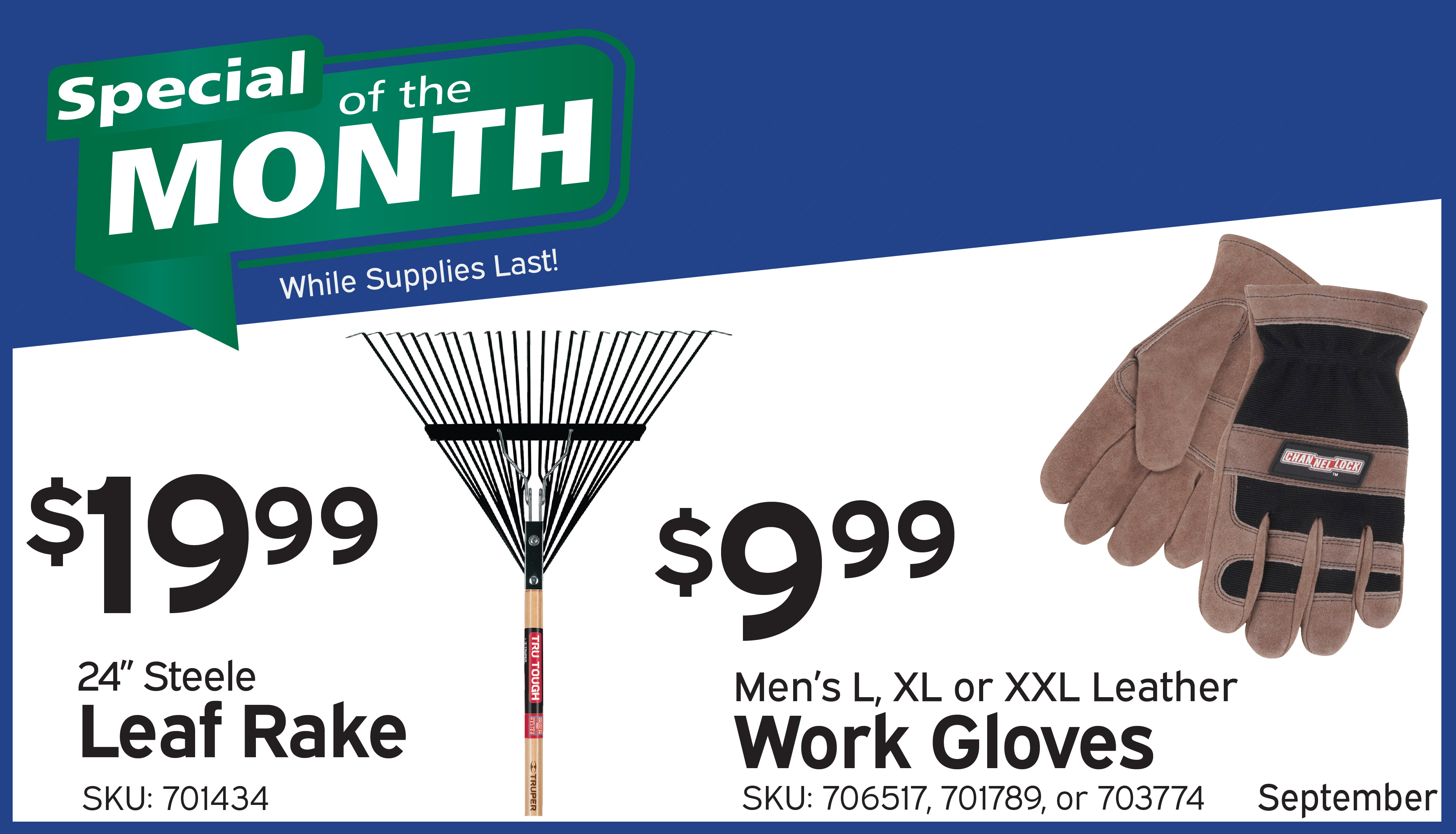 Special of the Month - September