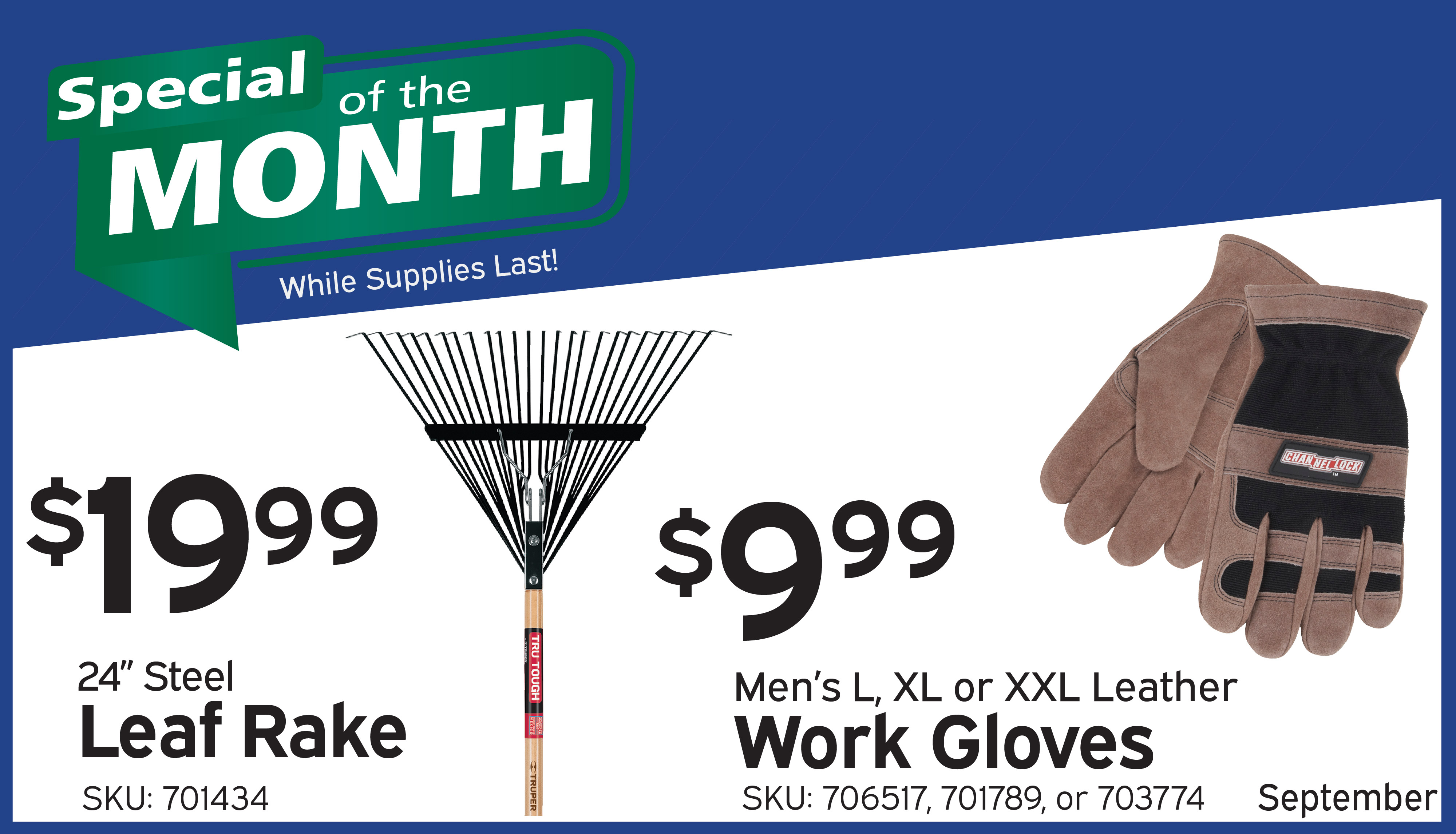 Special of the Month - September
