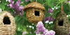 Bird &amp; Bat Houses