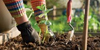 Gardening