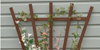 Trellises &amp; Supports