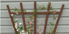 Trellises &amp; Supports